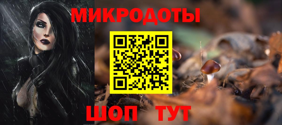 Галлюциногенные грибы Psilocybine cubensis  Вход с VPN  Псилоцибиновые грибы Psilocybe  Архангельск 