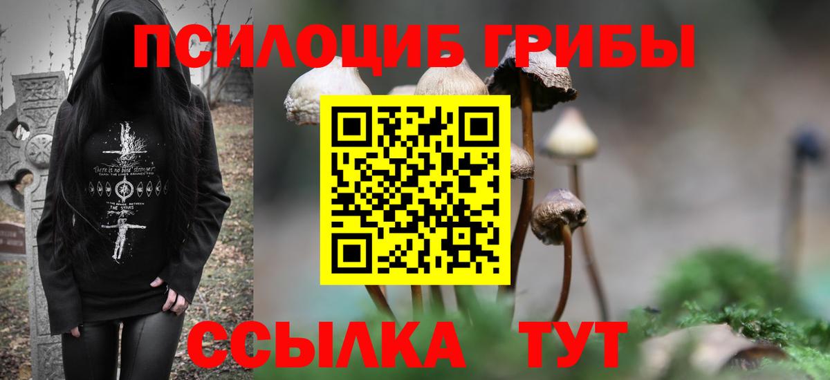 Псилоцибиновые грибы прущие грибы Архангельск